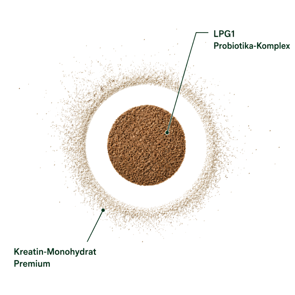 Kreatin Monohydrat Prime und LPG1 Probiotik Komplex