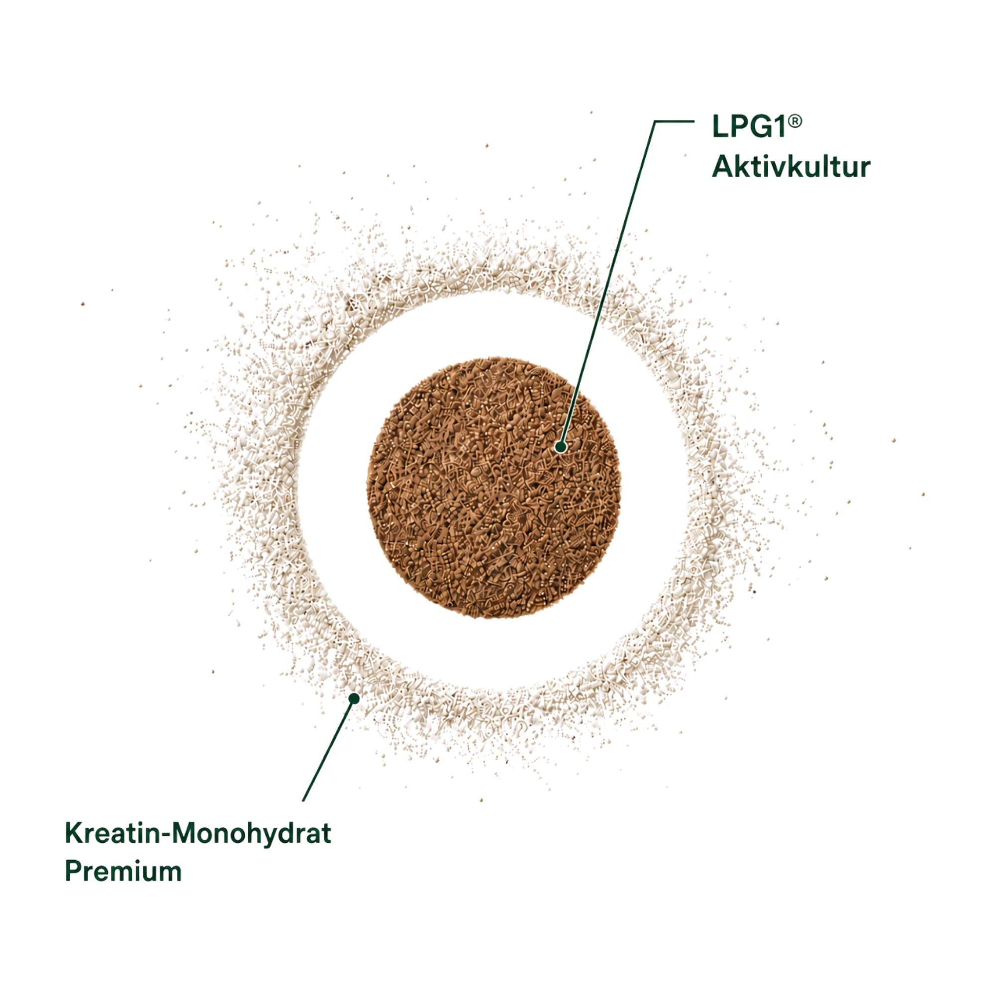 Kreatin Monohydrat Prime und LPG1® Aktivkultur