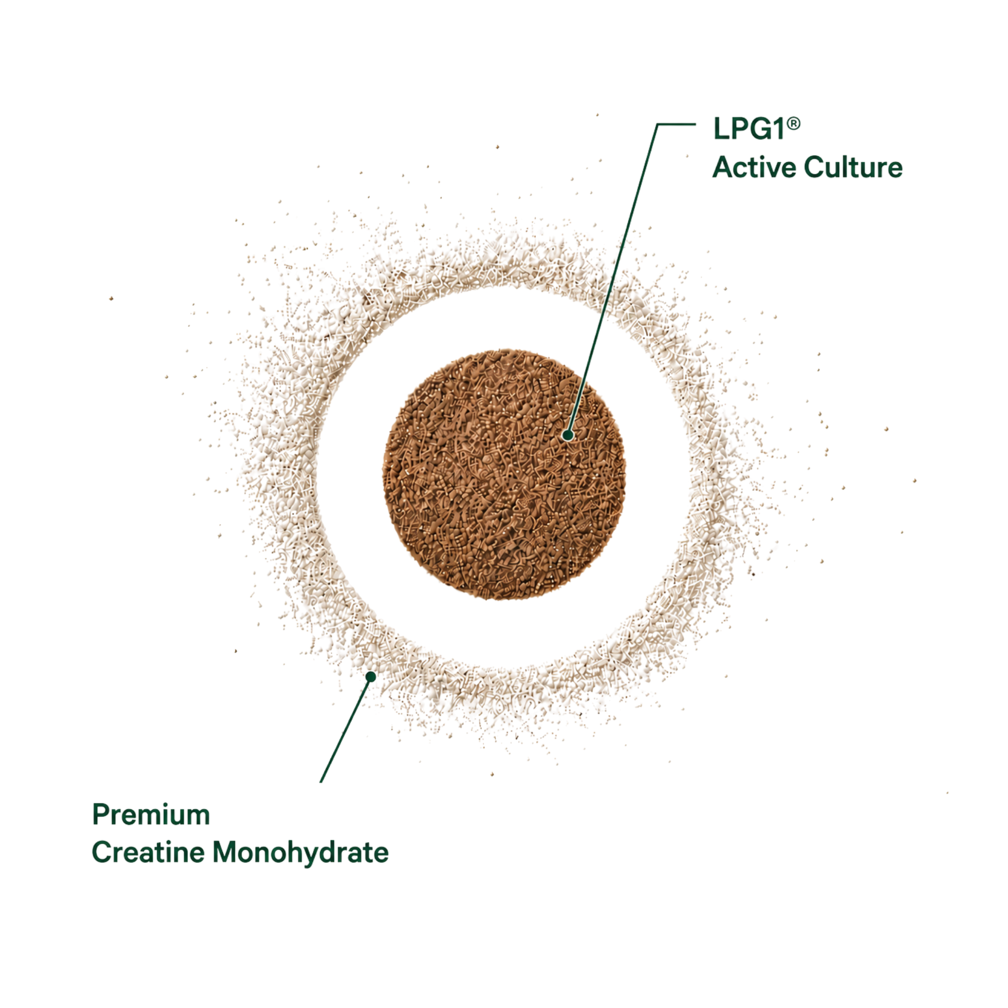 Creatine Monohydrate Prime and LPG1® active culture
